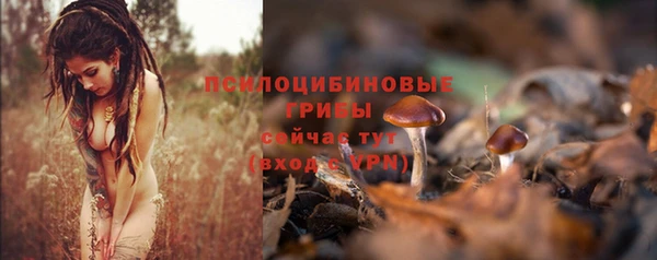 альфа пвп Богородицк