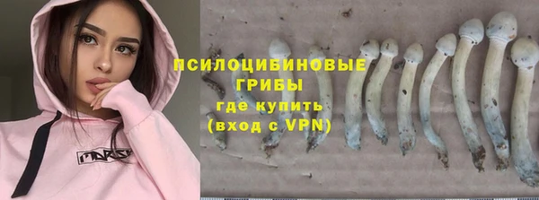 меф Бородино